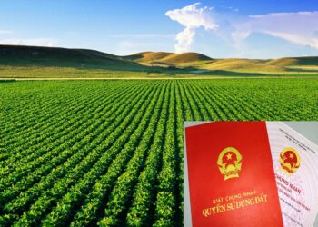 Dịch vụ chuyển đất ruộng lên thổ cư 2023 nhanh chóng