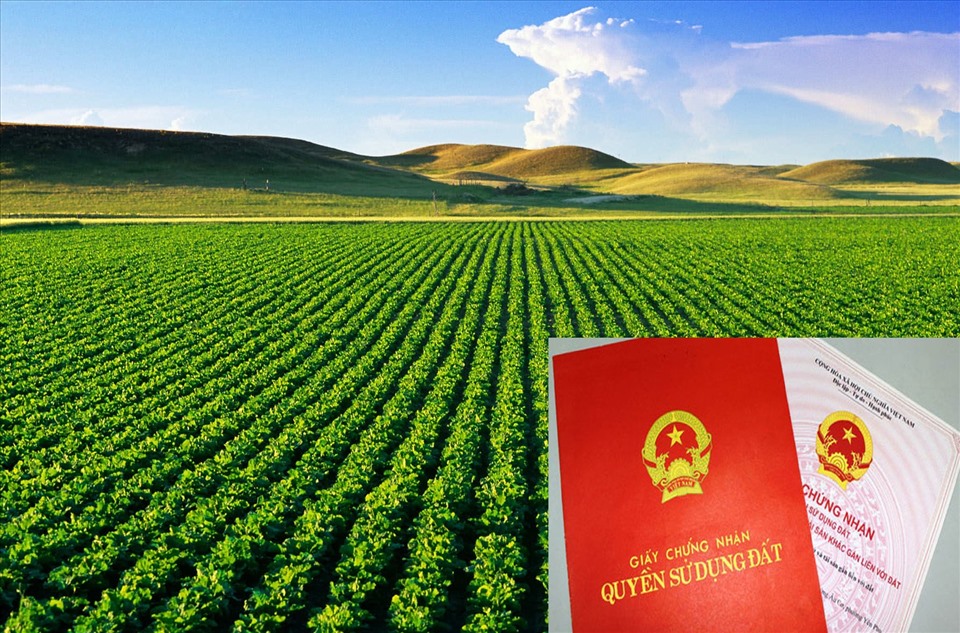 Dịch vụ chuyển đất ruộng lên thổ cư 2023 nhanh chóng