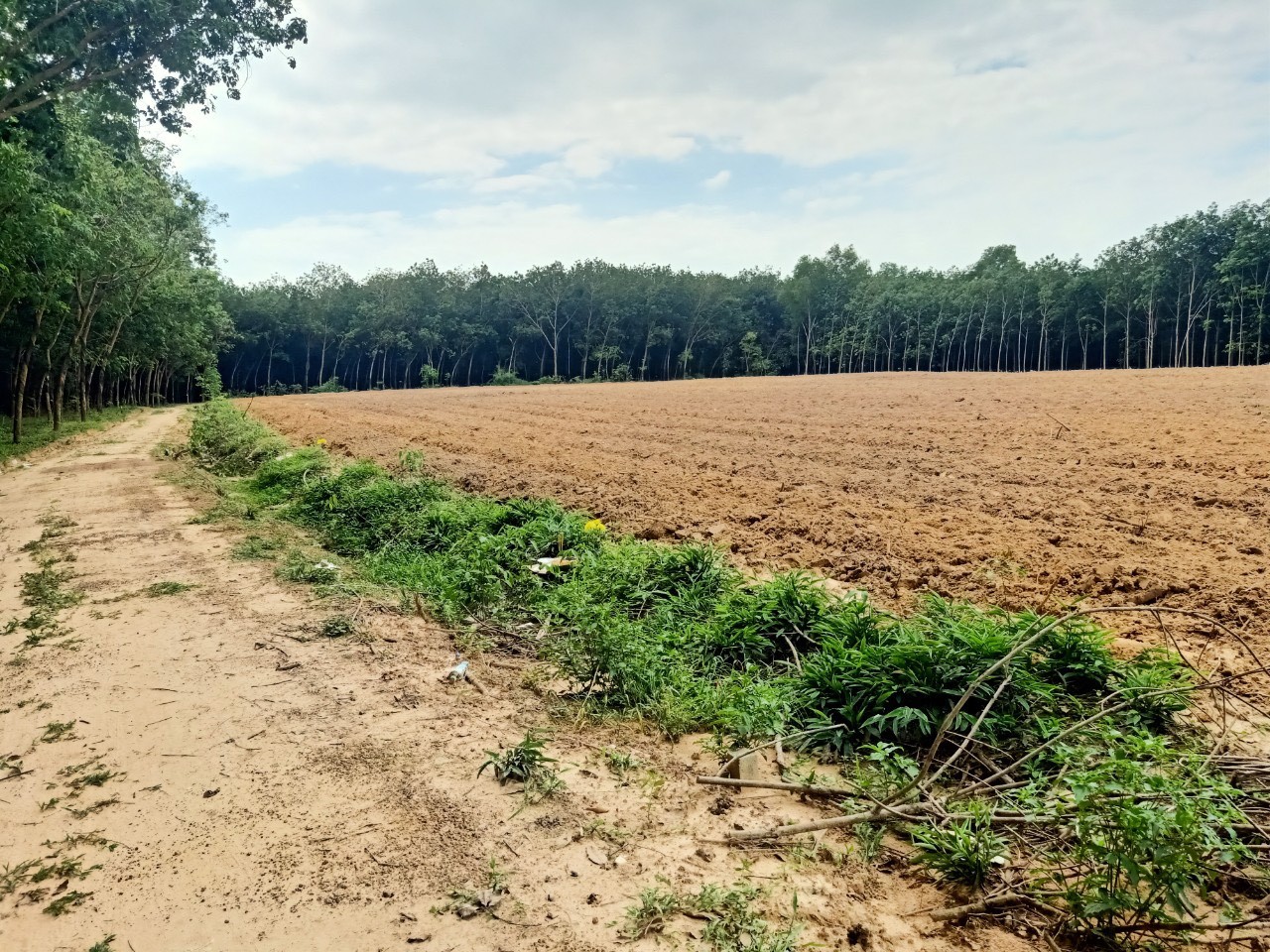 Mẫu đơn xin chuyển đổi đất nông nghiệp sang đất trồng cây lâu năm