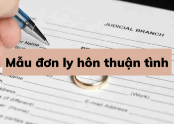 Mẫu đơn xin ly hôn đồng thuận viết tay mới năm 2023