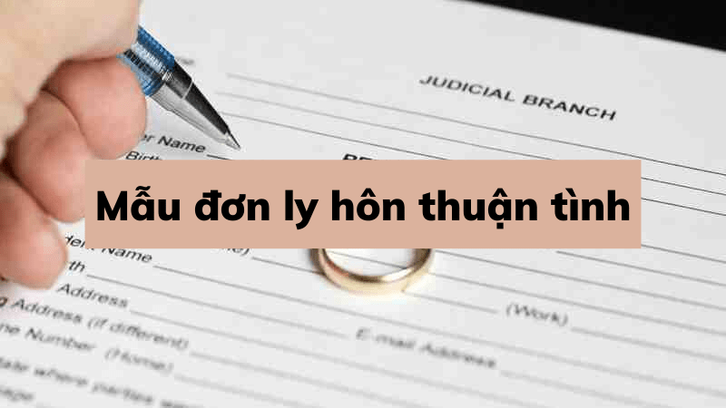 Mẫu đơn xin ly hôn đồng thuận viết tay mới năm 2023
