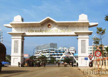 Thời hạn tạm nhập tái xuất theo Thông tư 39 như thế nào?