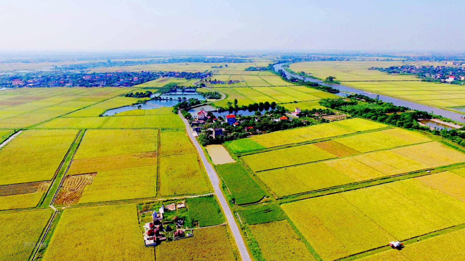 Thủ tục chuyển đổi đất ruộng lên thổ cư năm 2023