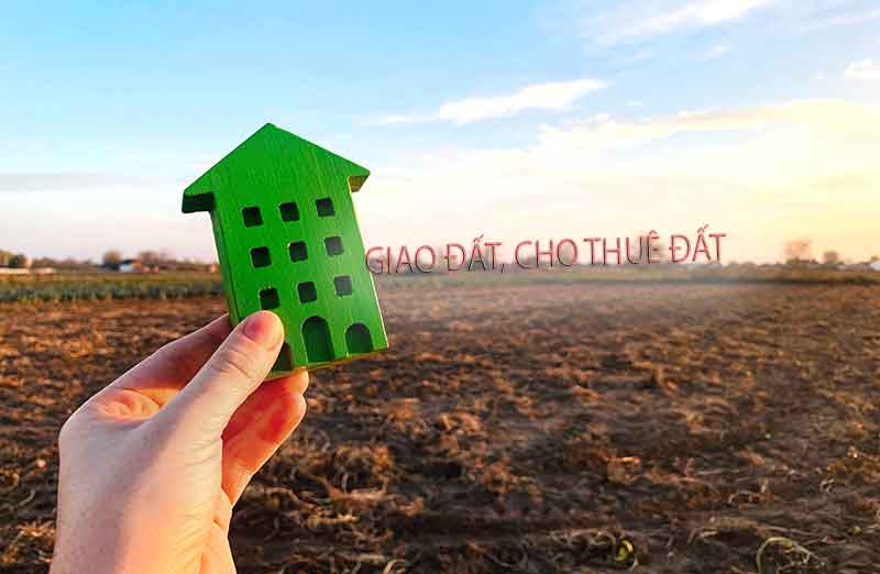 Thủ tục thuê đất nông nghiệp phục vụ mục đích kinh doanh năm 2023