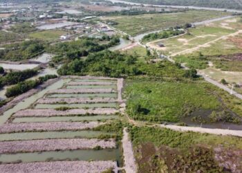 đất ở, đất vườn, ao sử dụng trước 1993
