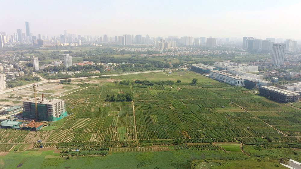 Khi nào đất thuộc quy hoạch không bị thu hồi?