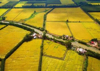 tách thửa đất nông nghiệp