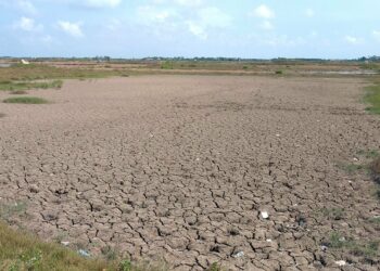 tranh chấp đất đai khi không có sổ đỏ
