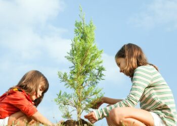 Các quyền của người sử dụng đất tại Việt Nam