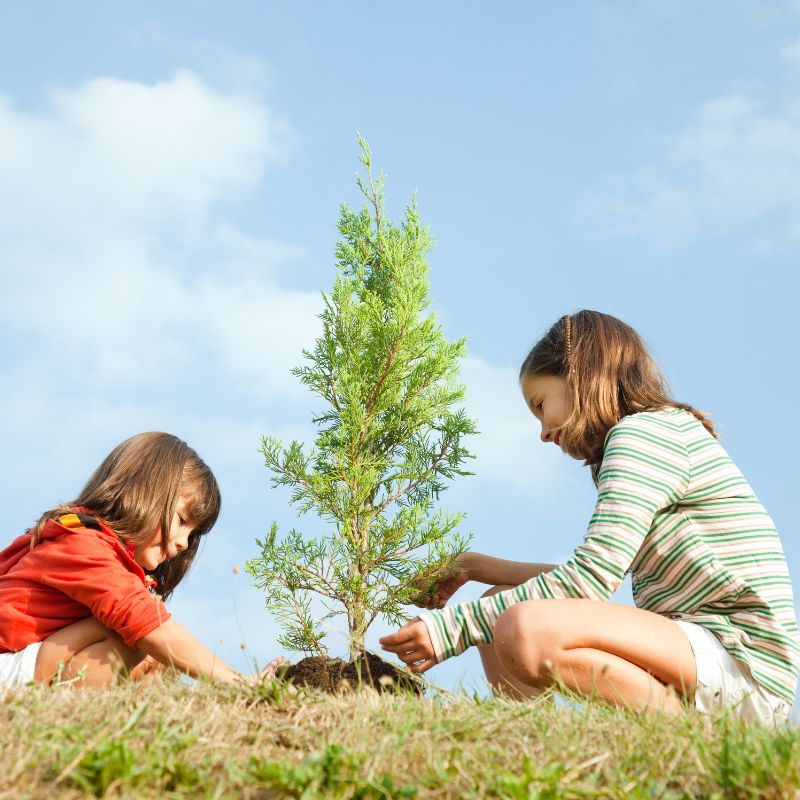 Các quyền của người sử dụng đất tại Việt Nam