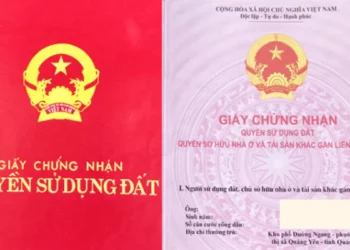 Cách ghi số Giấy chứng nhận quyền sử dụng đất nhanh năm 2023