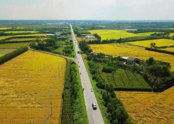 Cơ sở xác định quyền của người sử dụng đất là gì