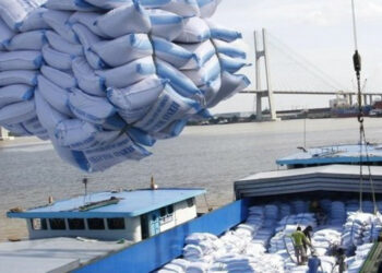 Điều kiện cấp giấy chứng nhận đủ điều kiện kinh doanh xuất khẩu gạo năm 2023