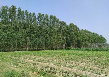 Mẫu văn bản hủy hợp đồng chuyển nhượng quyền sử dụng đất,,