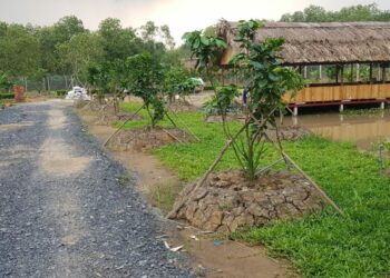 Mức thu tiền sử dụng đất đối với đất lấn chiếm năm 2023