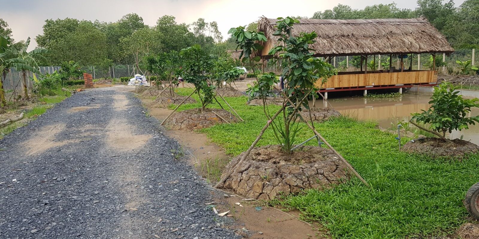 Mức thu tiền sử dụng đất đối với đất lấn chiếm năm 2023