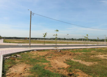 Năm 2023 có được tách thửa đất trồng cây lâu năm hay không?