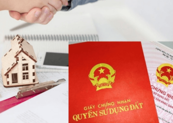 Năm 2023 con ủy quyền cho mẹ bán đất được hay không?