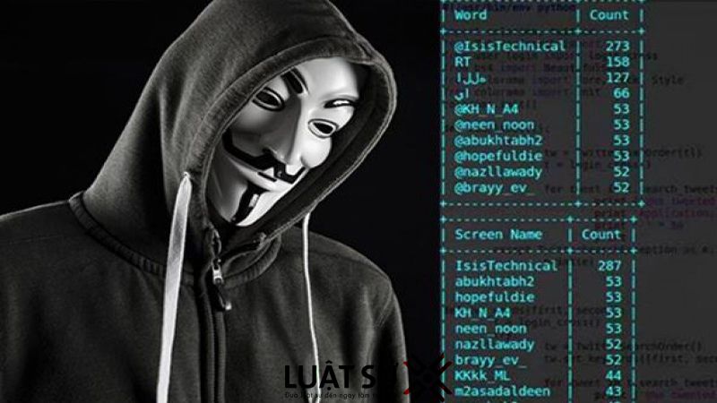 Năm 2023 crack phần mềm có vi phạm pháp luật hay không?