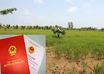 Năm 2023 đất hộ gia đình chia như thế nào?