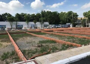 Năm 2023 đất vườn bao nhiêu mét thì được tách thửa?