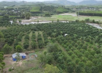 Pháp luật năm 2023 quy định thế nào là không đưa đất vào sử dụng?