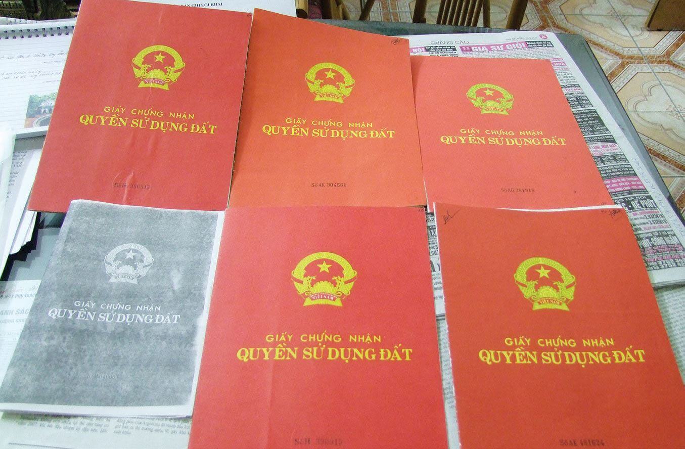 Quy định về sổ hồng đất trồng cây lâu năm năm 2023