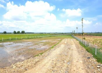 Tách thửa đất thổ vườn