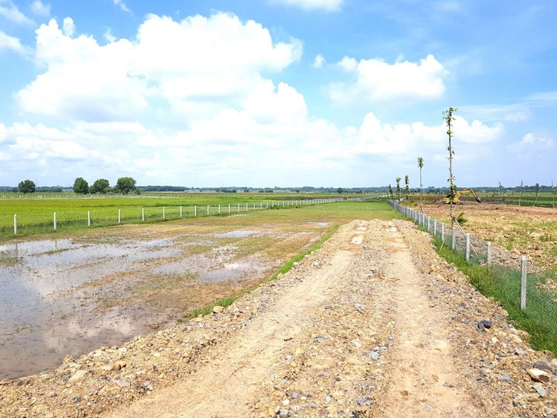 Tách thửa đất thổ vườn