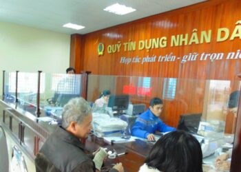 Theo quy định năm 2023 quỹ tín dụng nhân dân thuộc loại hình gì?