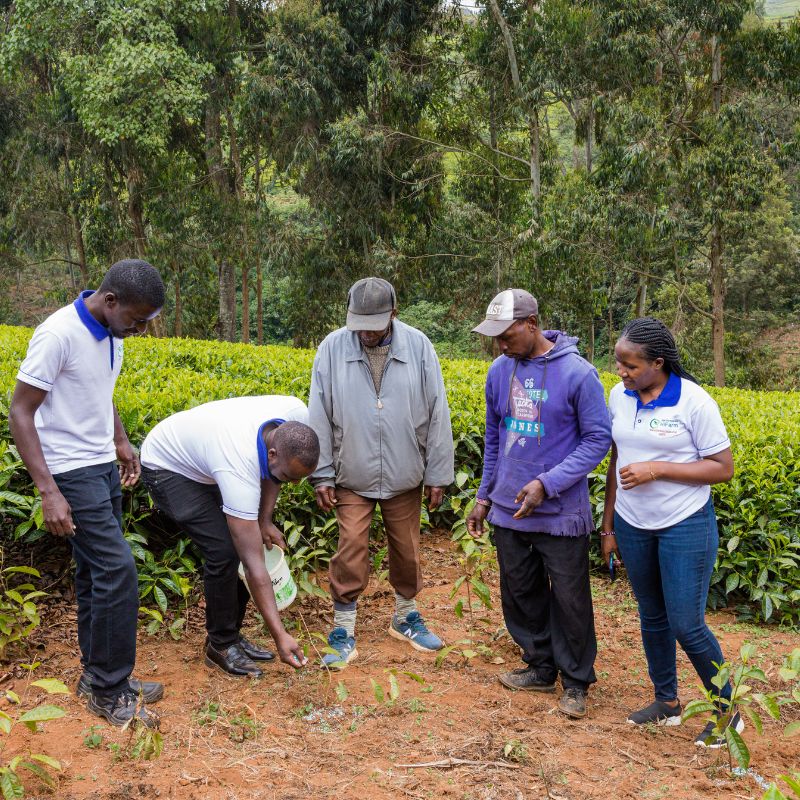 Xử phạt sử dụng đất sai mục đích như thế nào?