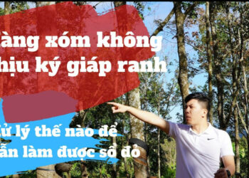 Giả chữ ký giáp ranh bị xử phạt bao nhiêu tiền?