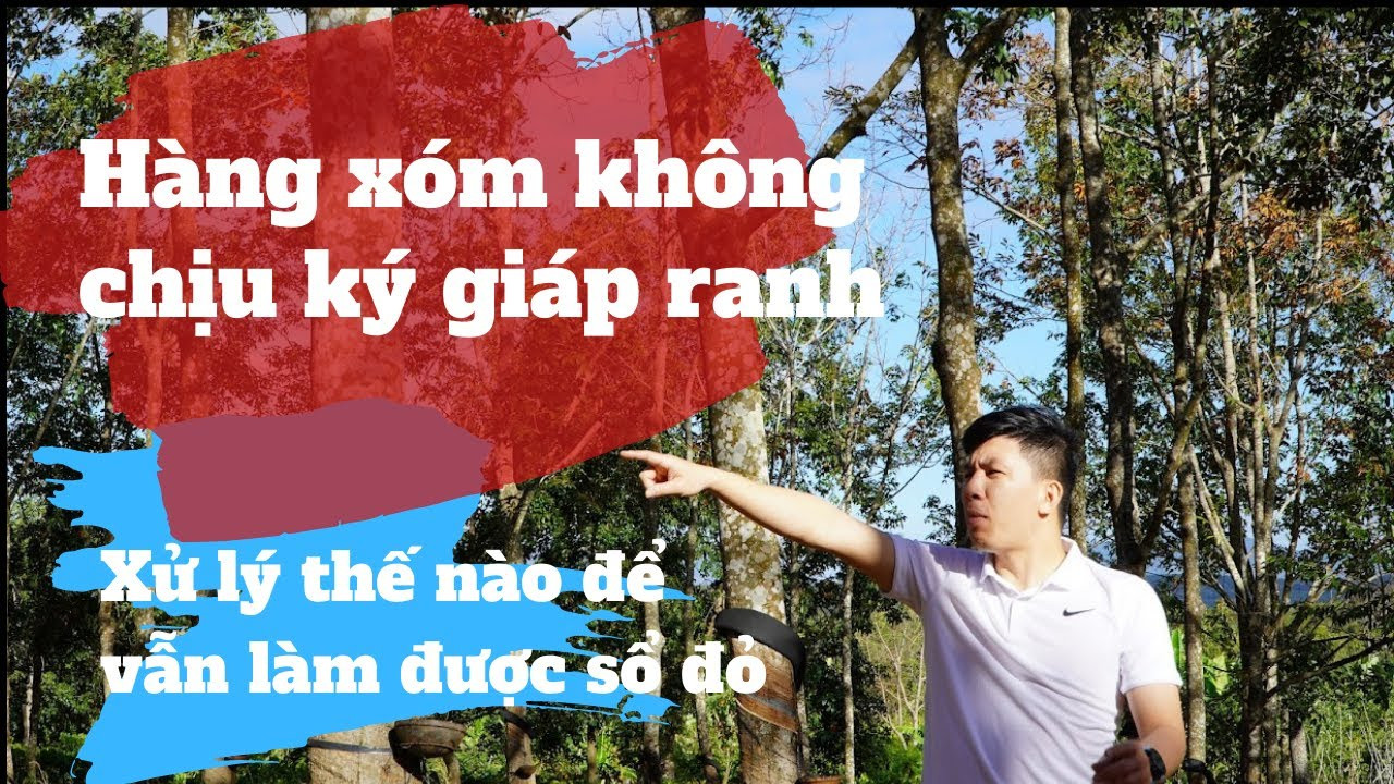 Giả chữ ký giáp ranh bị xử phạt bao nhiêu tiền?