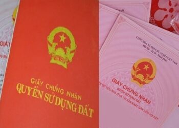 Nhập khẩu có cần sổ đỏ không theo quy định năm 2023?