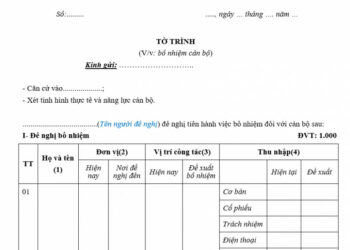 Tải xuống mẫu tờ trình bổ nhiệm cán bộ mới năm 2023