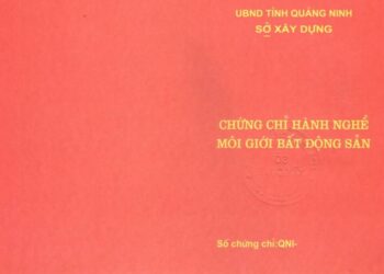 Trình tự cấp chứng chỉ hành nghề môi giới bất động sản