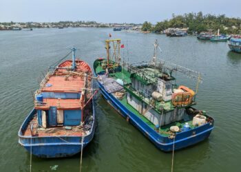 Giấy chứng nhận đăng ký tàu cá năm 2023