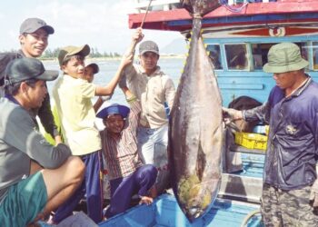 Giấy phép khai thác thuỷ sản là gì