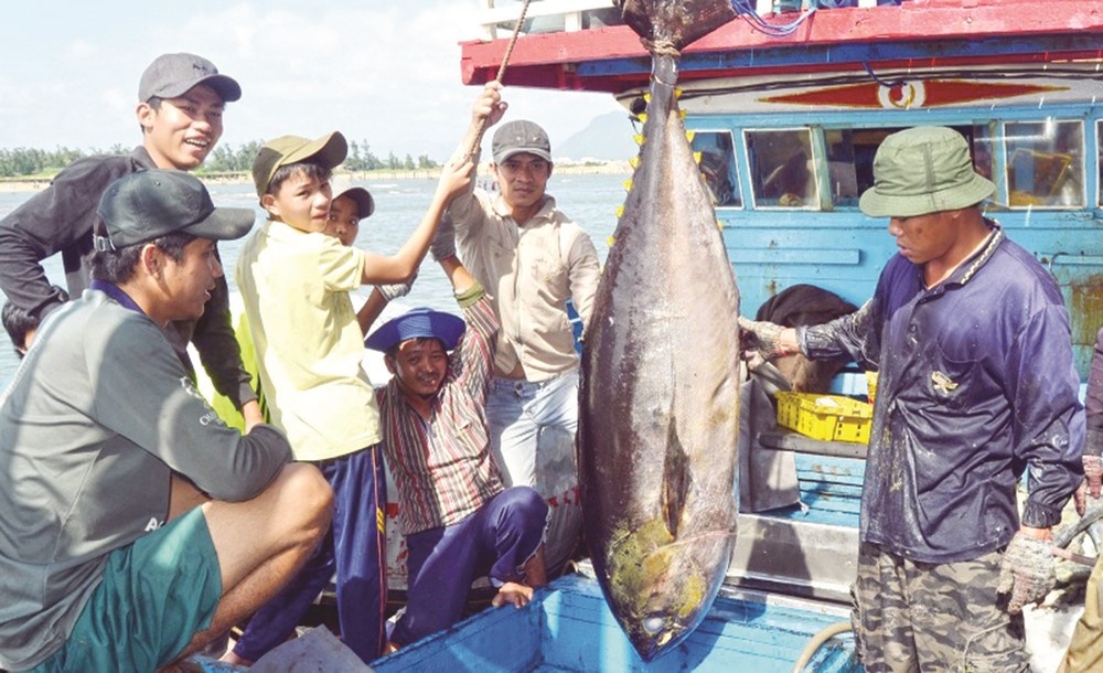 Giấy phép khai thác thuỷ sản là gì