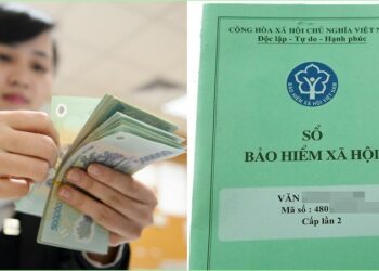 Hồ sơ chuyển quận BHXH bao gồm những gì