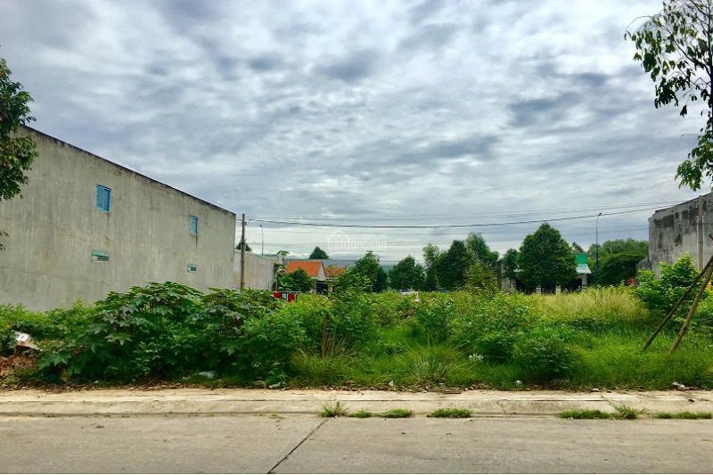 Mẫu đơn xin cấp đất thổ cư