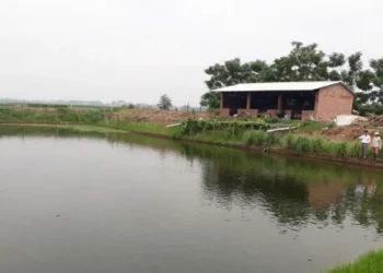 Năm 2023 quy định đất ao có tách thửa được không?