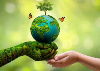 Thủ tục cấp giấy phép môi trường