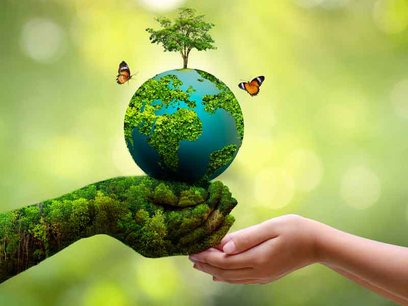 Thủ tục cấp giấy phép môi trường