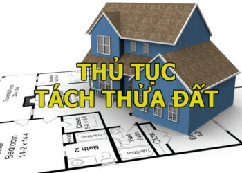 Đất đấu giá có được tách thửa không theo quy định?