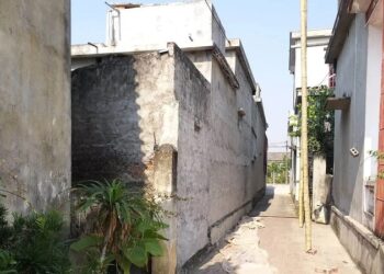 Hướng dẫn chi tiết pháp luật về quy định về đường tự mở 2023