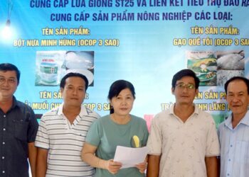 Luật hợp tác xã nông nghiệp mới năm 2023