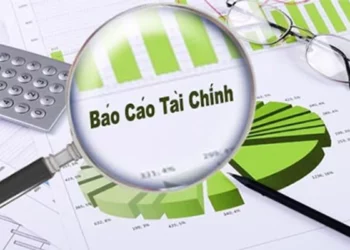 Mẫu báo cáo tài chính của hợp tác xã mới năm 2023