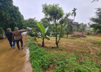 Thủ tục tách thửa và chuyển quyền sử dụng đất