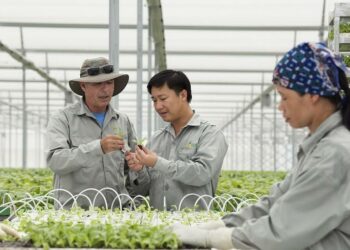 Thủ tục tạm ngừng kinh doanh hợp tác xã